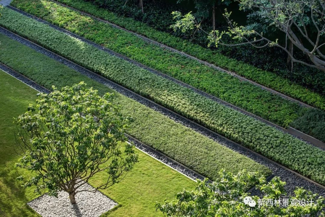 仁恒·海棠公园 | 国际都会高品生态社区的花园城市记忆-31