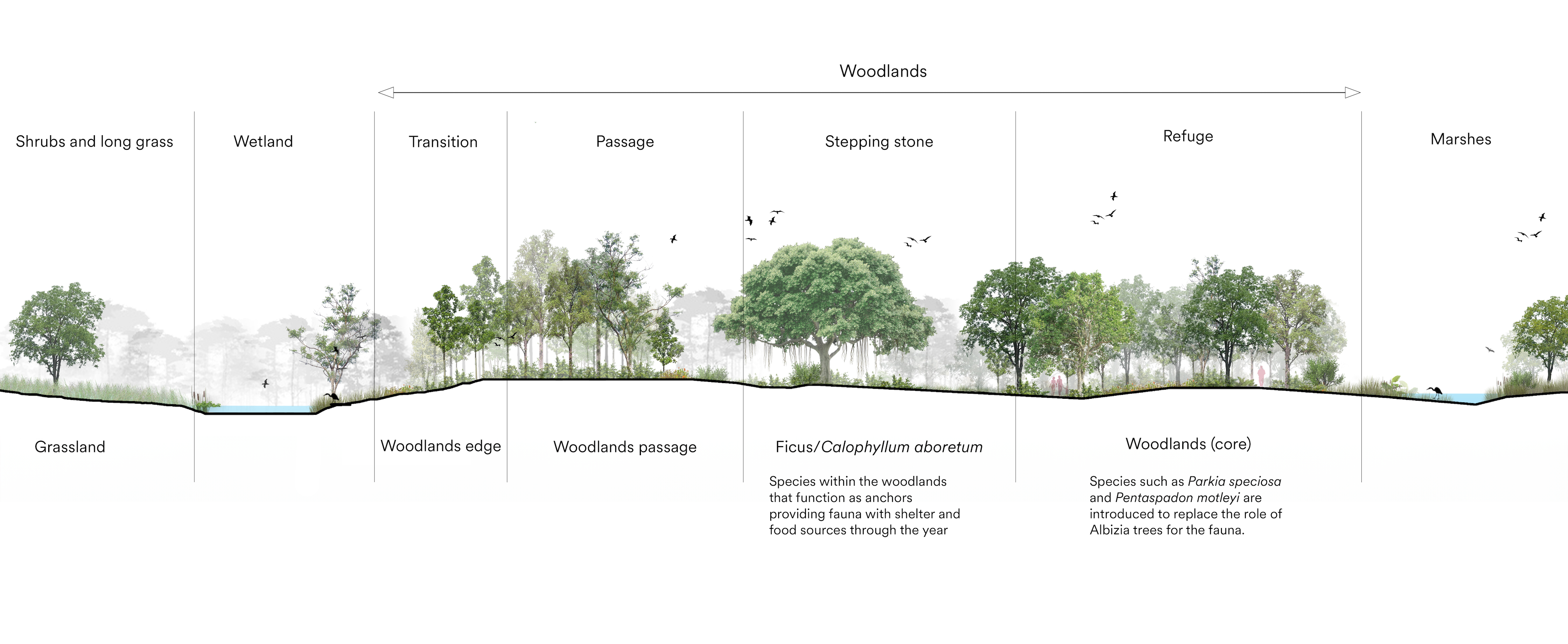 比达达利公园丨新加坡-17