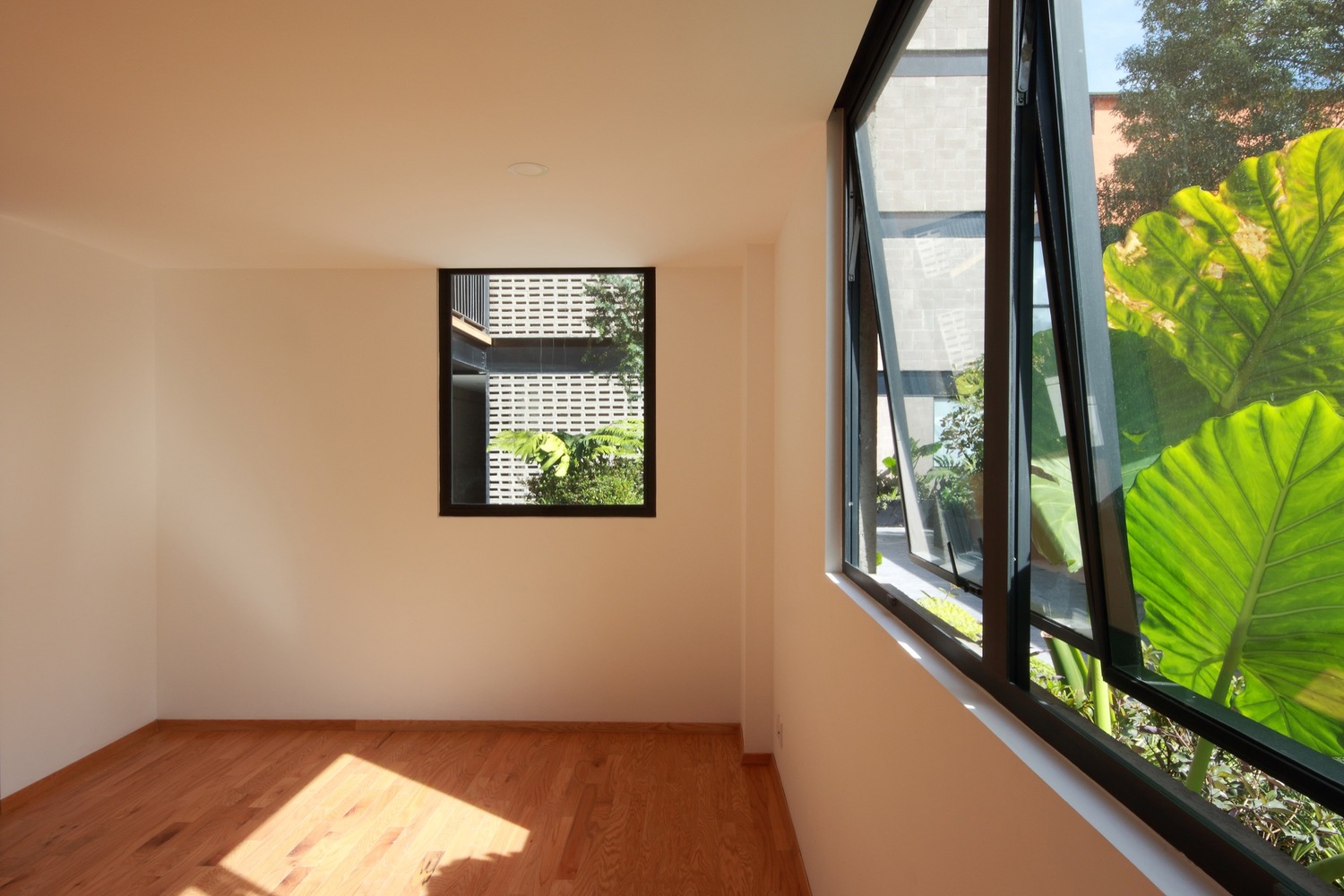 墨西哥 Escandón 社区的多功能公寓设计-58