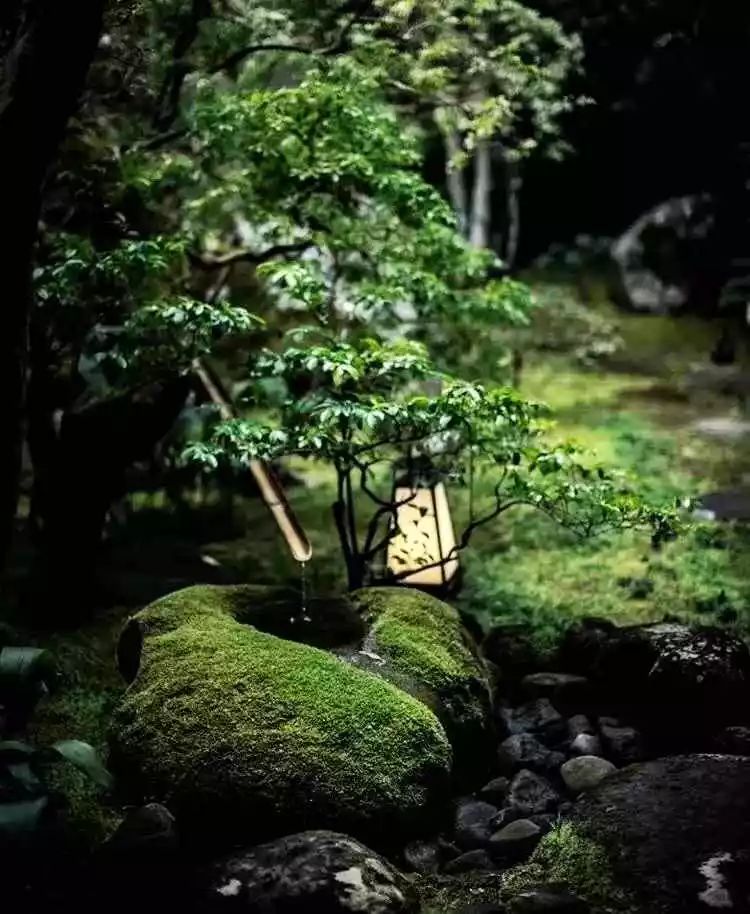 心灵庭园 | 打造美好人生的心灵空间-15