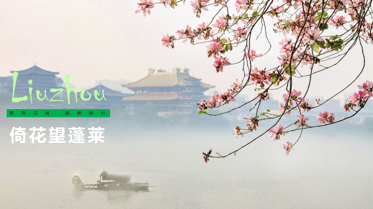 旅游集散中心-品牌/展示2020-9