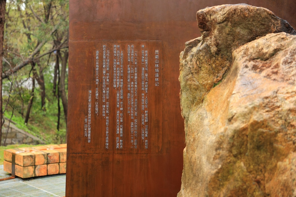 昆嵛山国家级自然保护区林场建立80周年纪念雕塑(烟台金刚碑)丨中国烟台丨大小景观-55