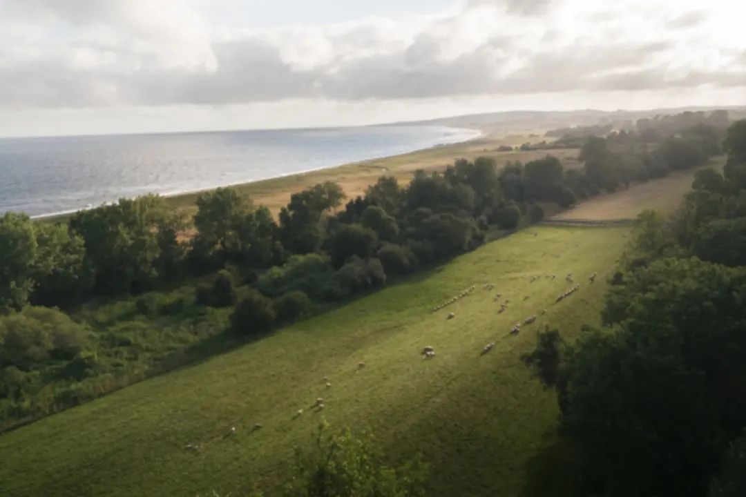 Weissenhaus-德国最独特的私人沿海庄园-43