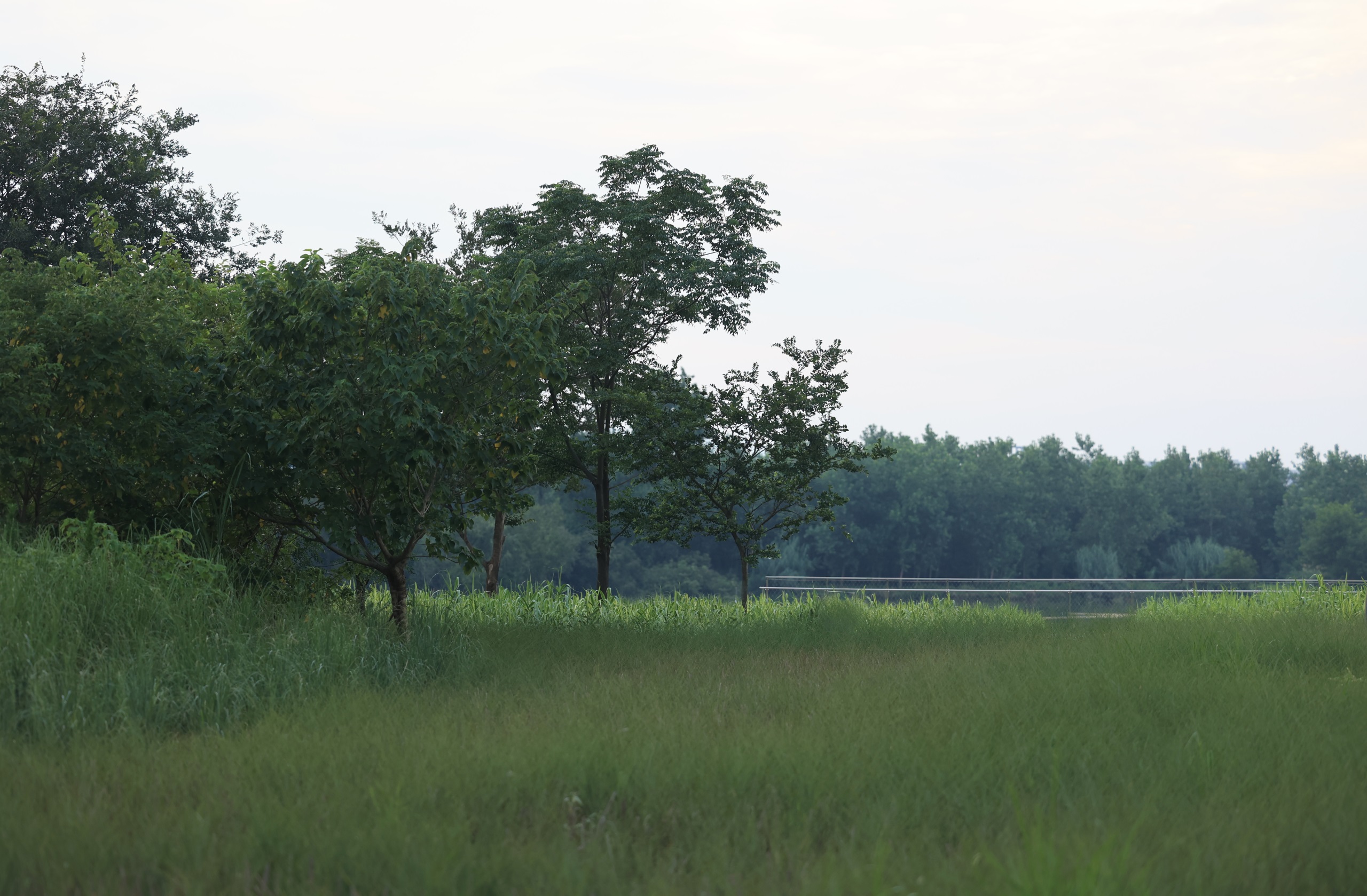 凤翔洲水文化公园丨中国衢州丨张唐景观-59