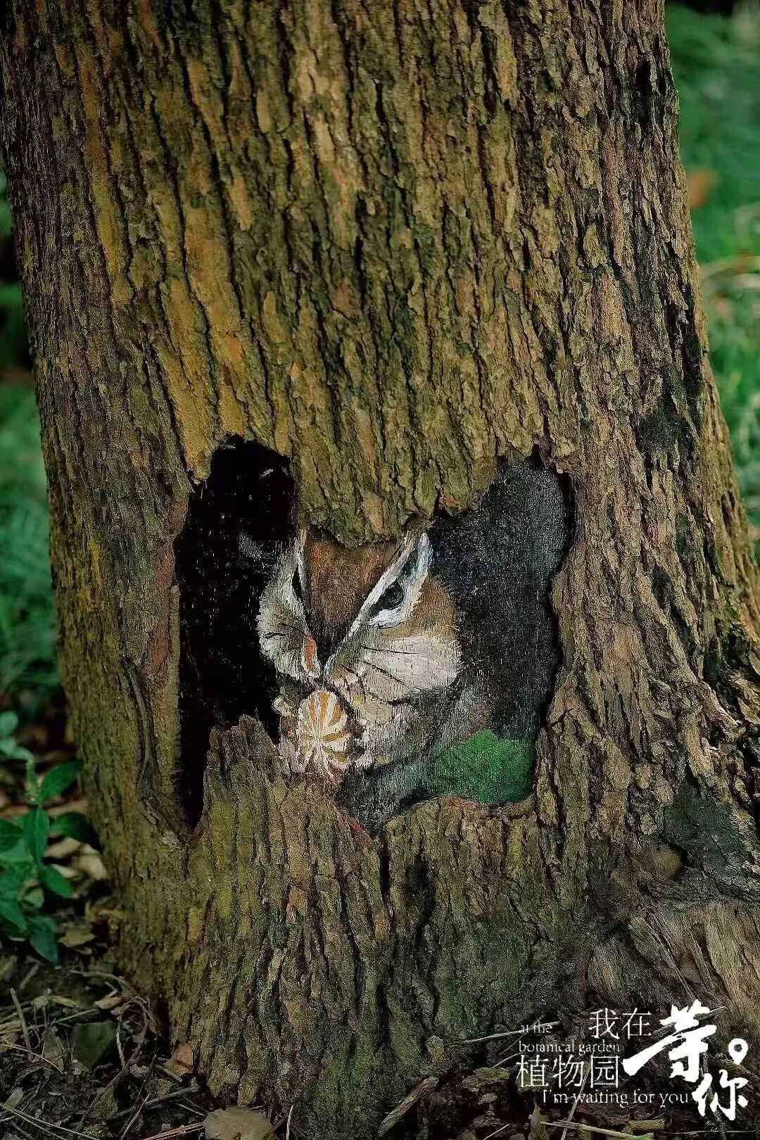 助力长三角生态绿色一体化发展|华建集团现代院原创设计嘉兴中央公园（嘉兴植物园）改造提升项目-33