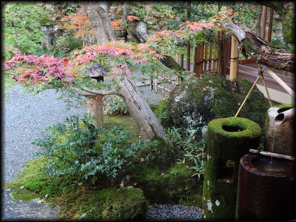 高台寺十牛庵本館庭園丨日本京都丨七代目小川治兵衛-20