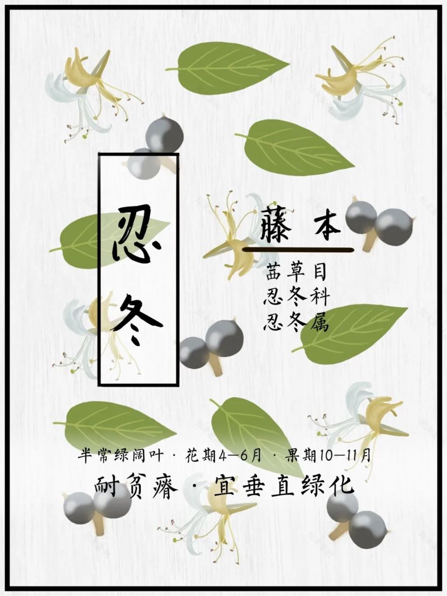 广汽丰田生态园·工业绿色风景线丨普邦设计-76