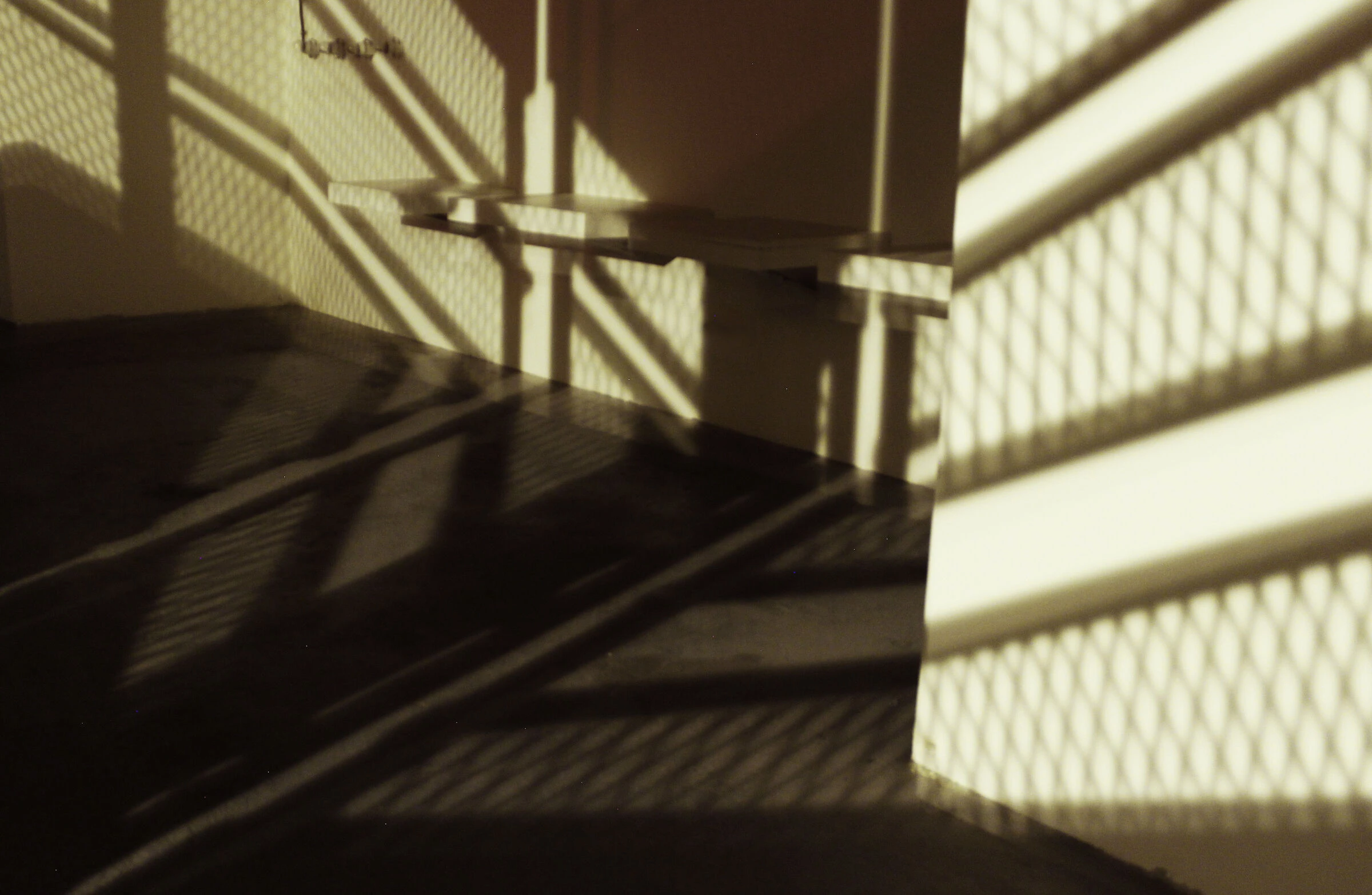 伊朗德黑兰“战斗”办公室设计-16