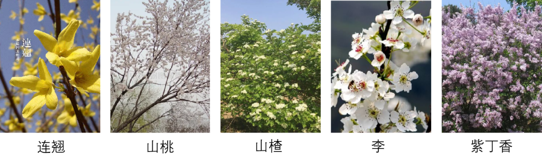 西宁万科城的美好生活场景，城市绿洲为西宁而定制 | 西宁·万科城一期-145