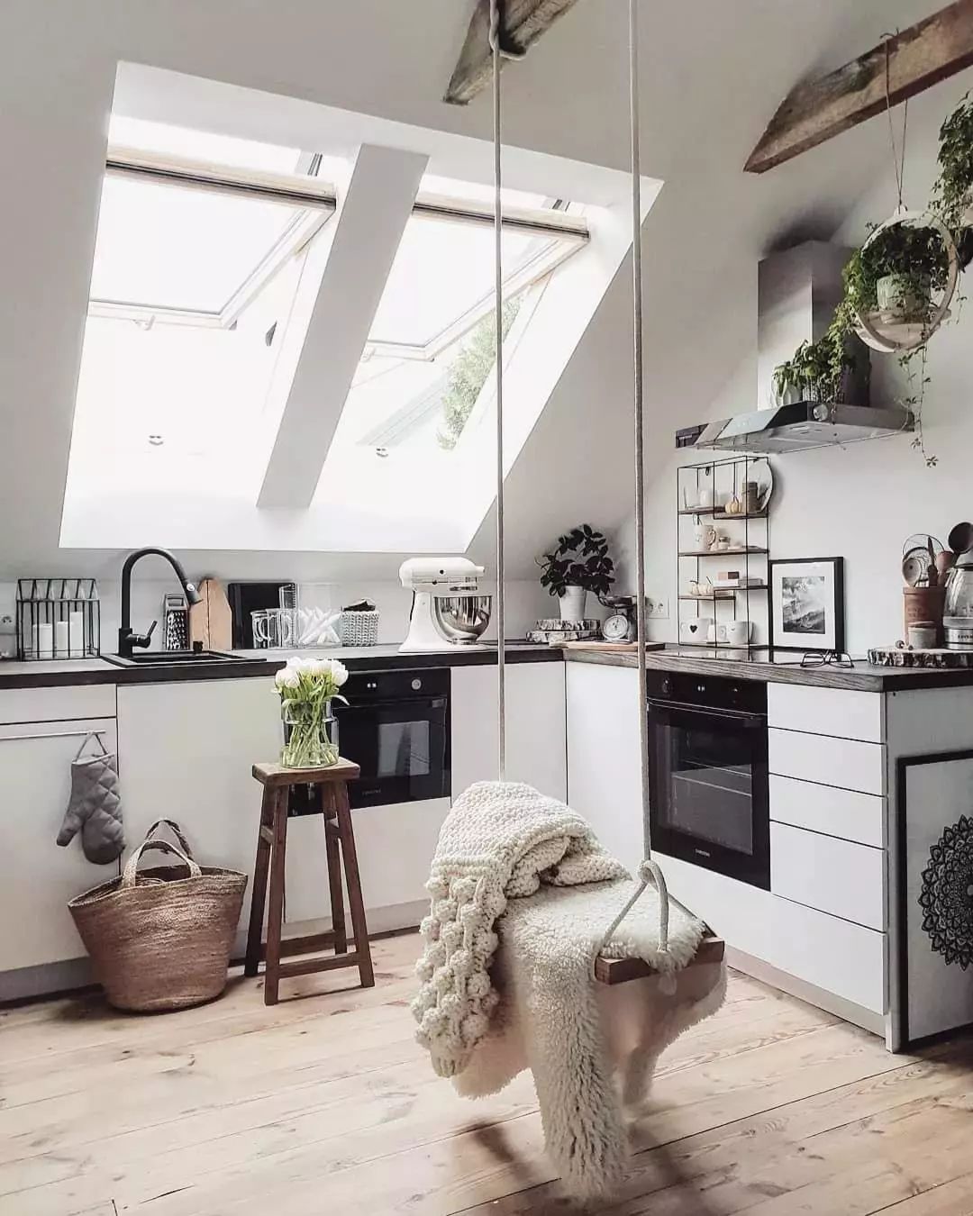 绿植装点现代家居，事半功倍！-16