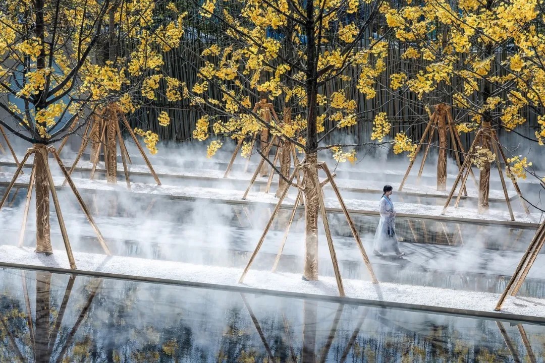  上海日清景观丨昆明招商 · 依云国际社区  景观设计  丨中国云南-64