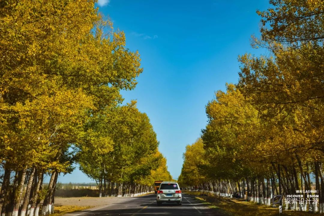 设计大咖探索新疆原生态之美,启发现代设计灵感-21