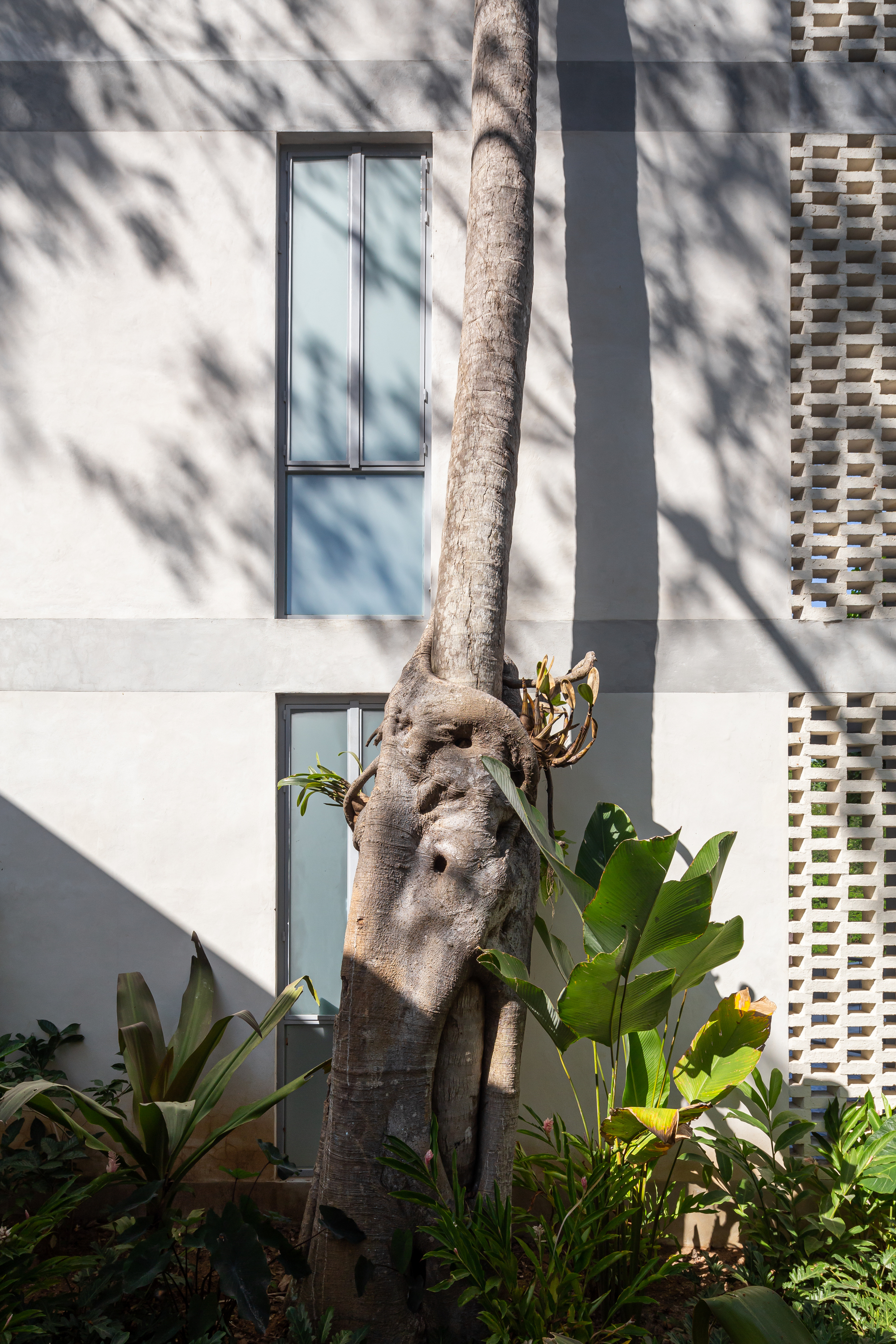 Chiripa 建筑丨墨西哥丨PALMA-35