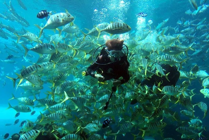 三亚酒店设计 | 阳光、水影与优雅的完美融合-21