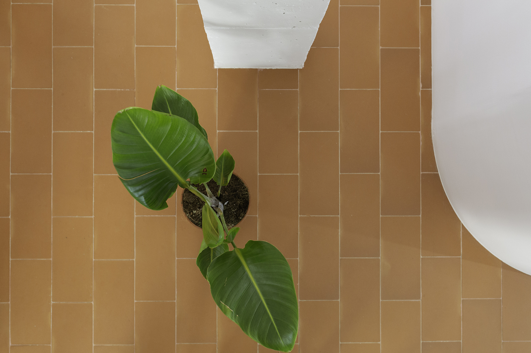 庭院之家丨西班牙丨Martín Peláez-30