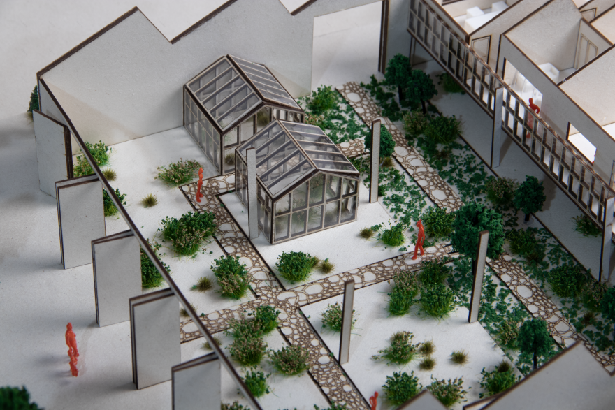 花园;植物园-9