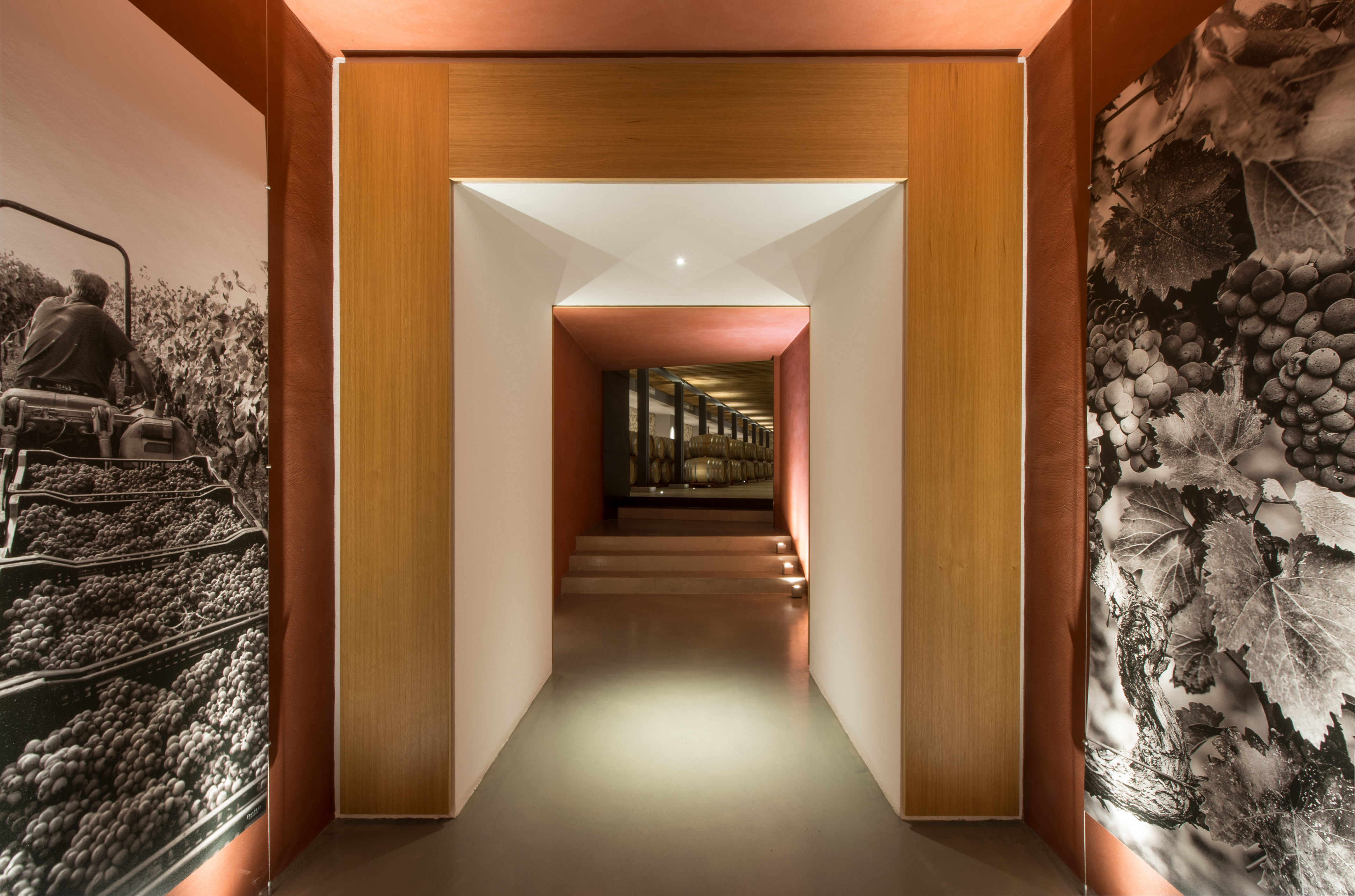古堡酒窖的现代复兴丨意大利莱切-7