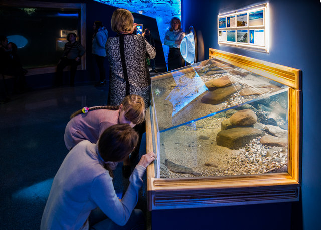 圣彼得堡海洋馆新展览创建项目丨俄罗斯圣彼得堡-38