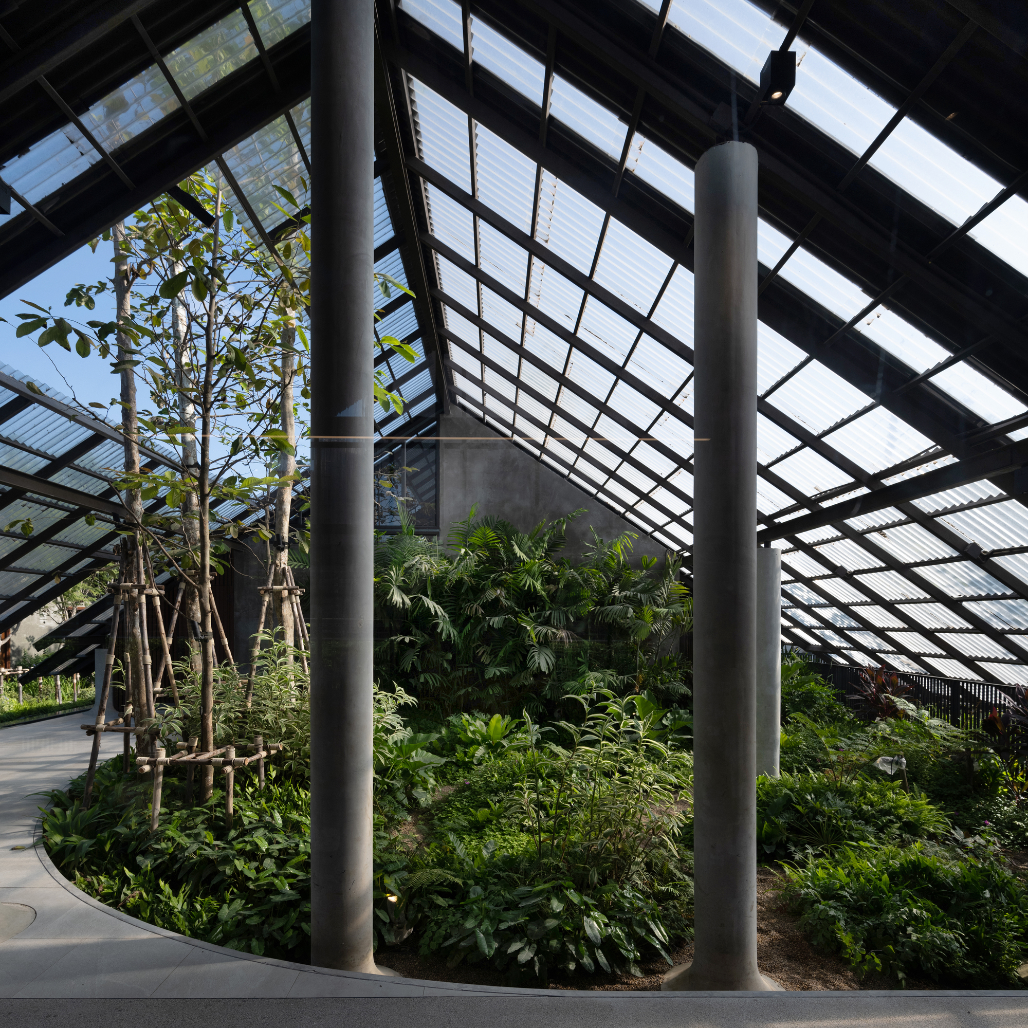 Dog,Human House,EKAR丨泰国佛统-32