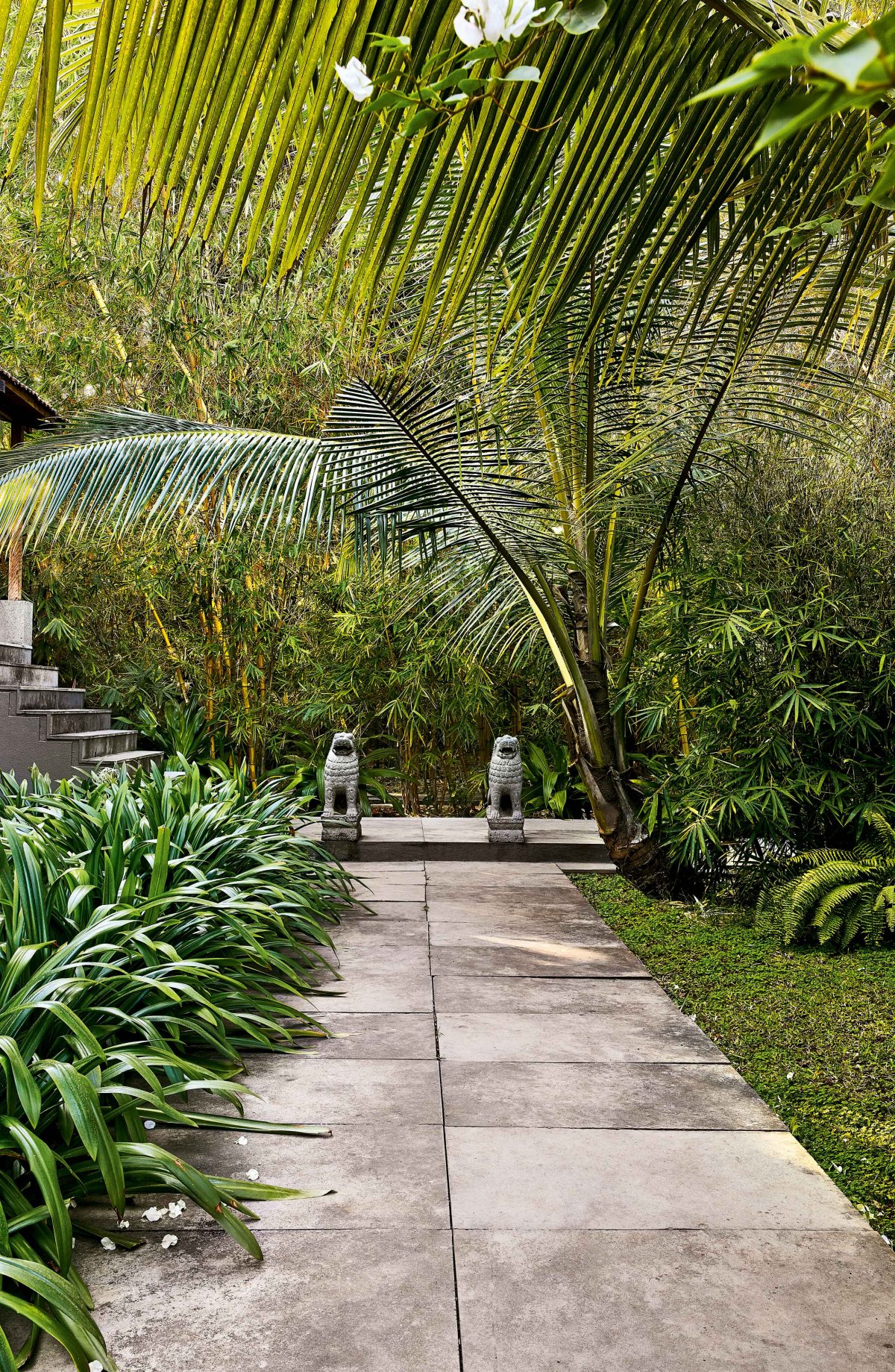 阿利巴格之家-16