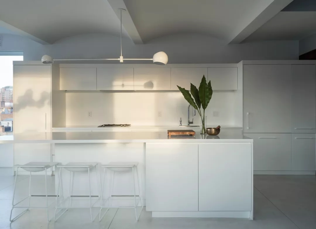 纽约149㎡ 两室一厅的顶层公寓改造  TBD-25