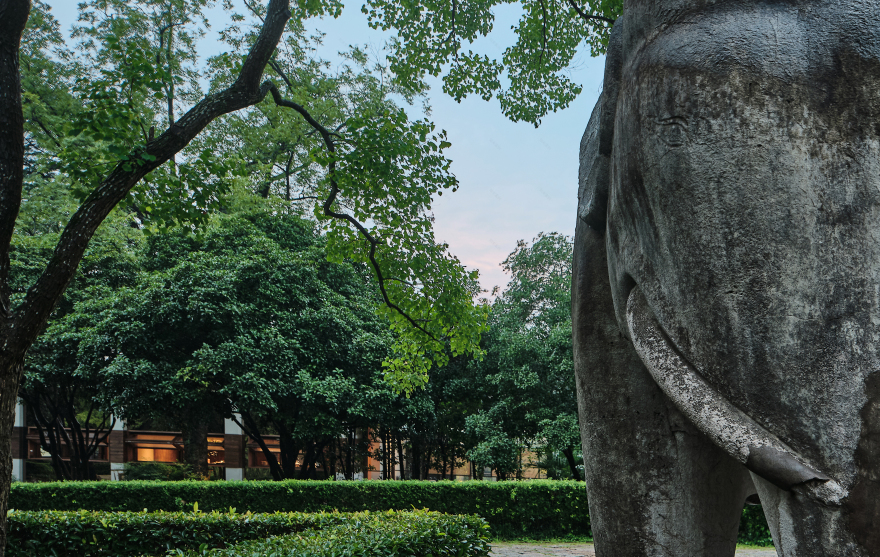 拾叁茶丨中国南京-6