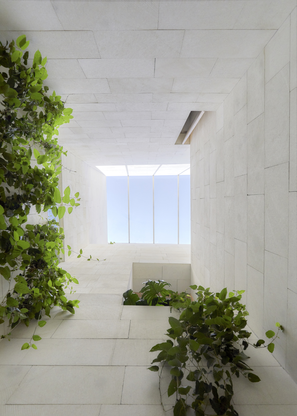 Círculo Mexicano酒店,墨西哥 / Ambrosi Etchegaray-16