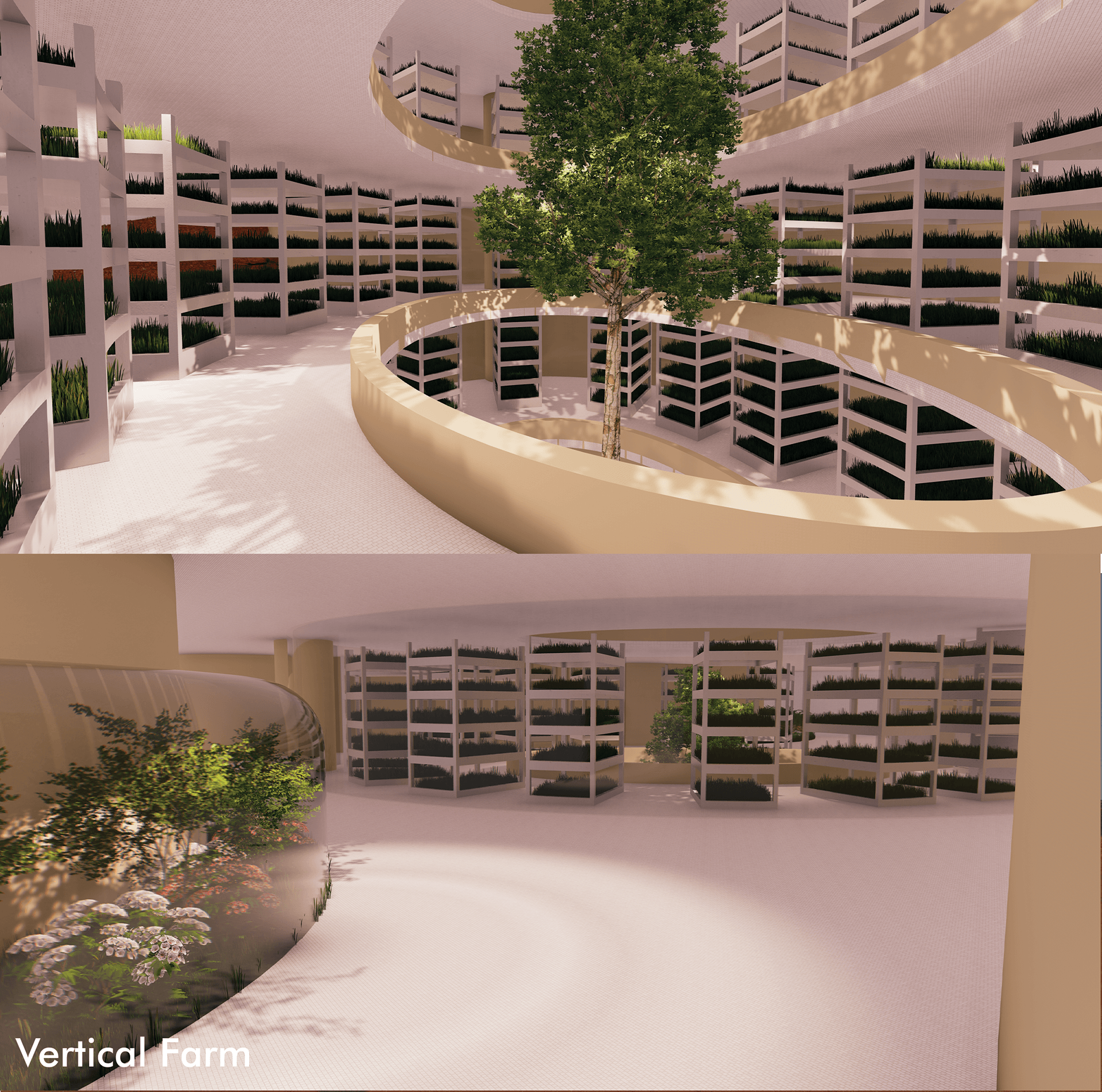 火星幻影丨开罗大学建筑系-32