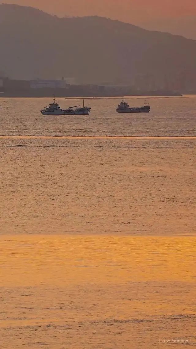 黄色系空间设计丨紫苹果装饰-16