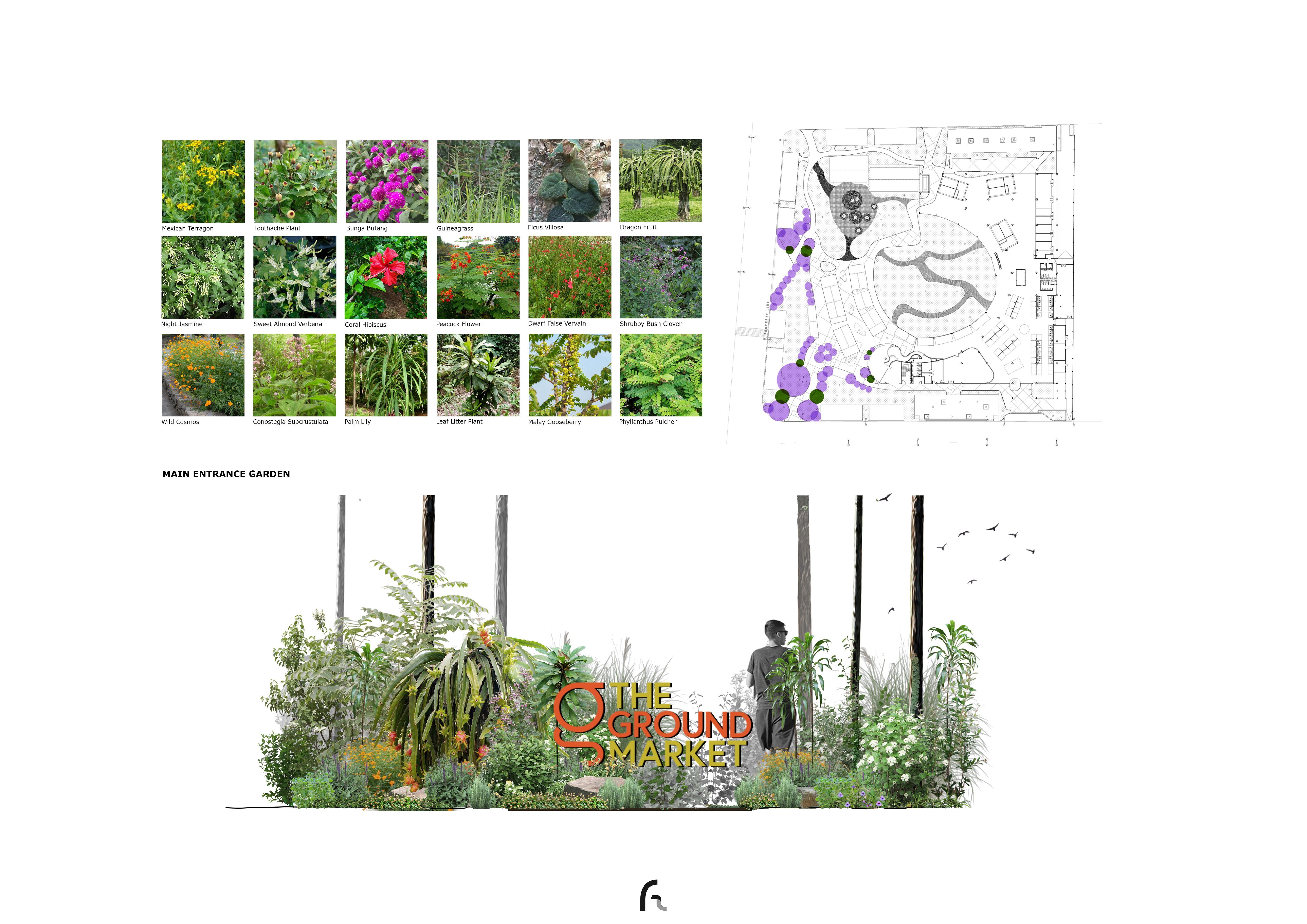 概念花园设计丨FAA +D-9