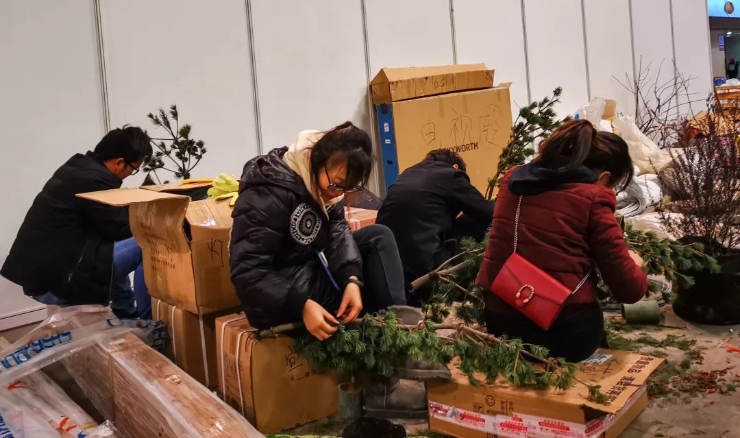 草月流世博馆庭院搭建记 | 全情投入展新貌-12