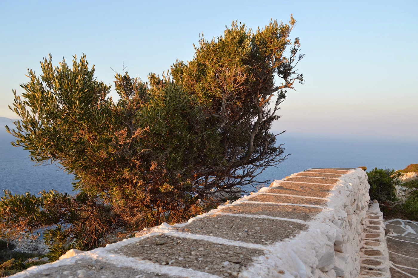 希腊伊奥斯自然疗愈之岛-4