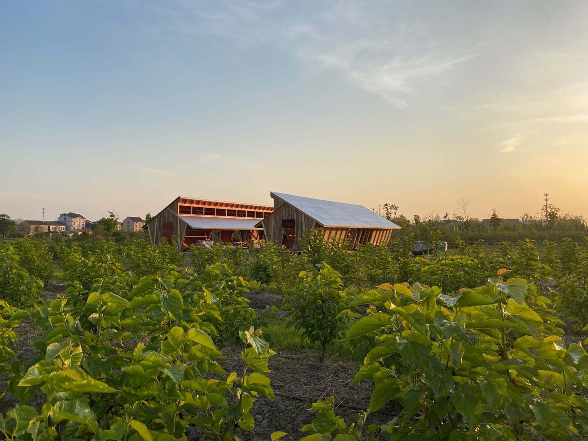 Næra Hotel 新型鸡舍设计丨Leeko Studio-24