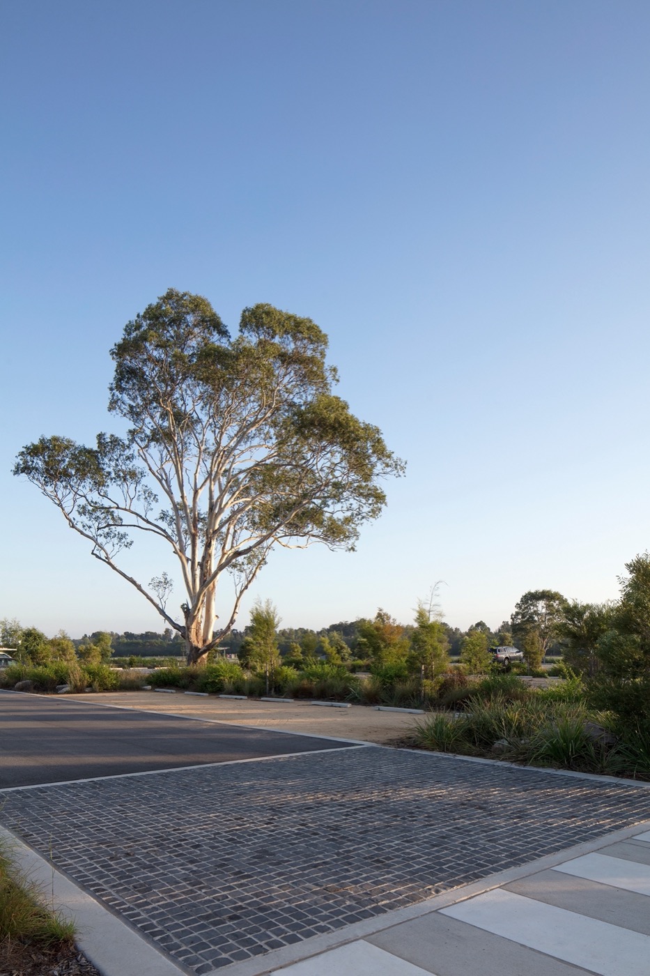 悉尼 Bungarribee 公园景观设计丨澳大利亚悉尼丨JMD 设计-12