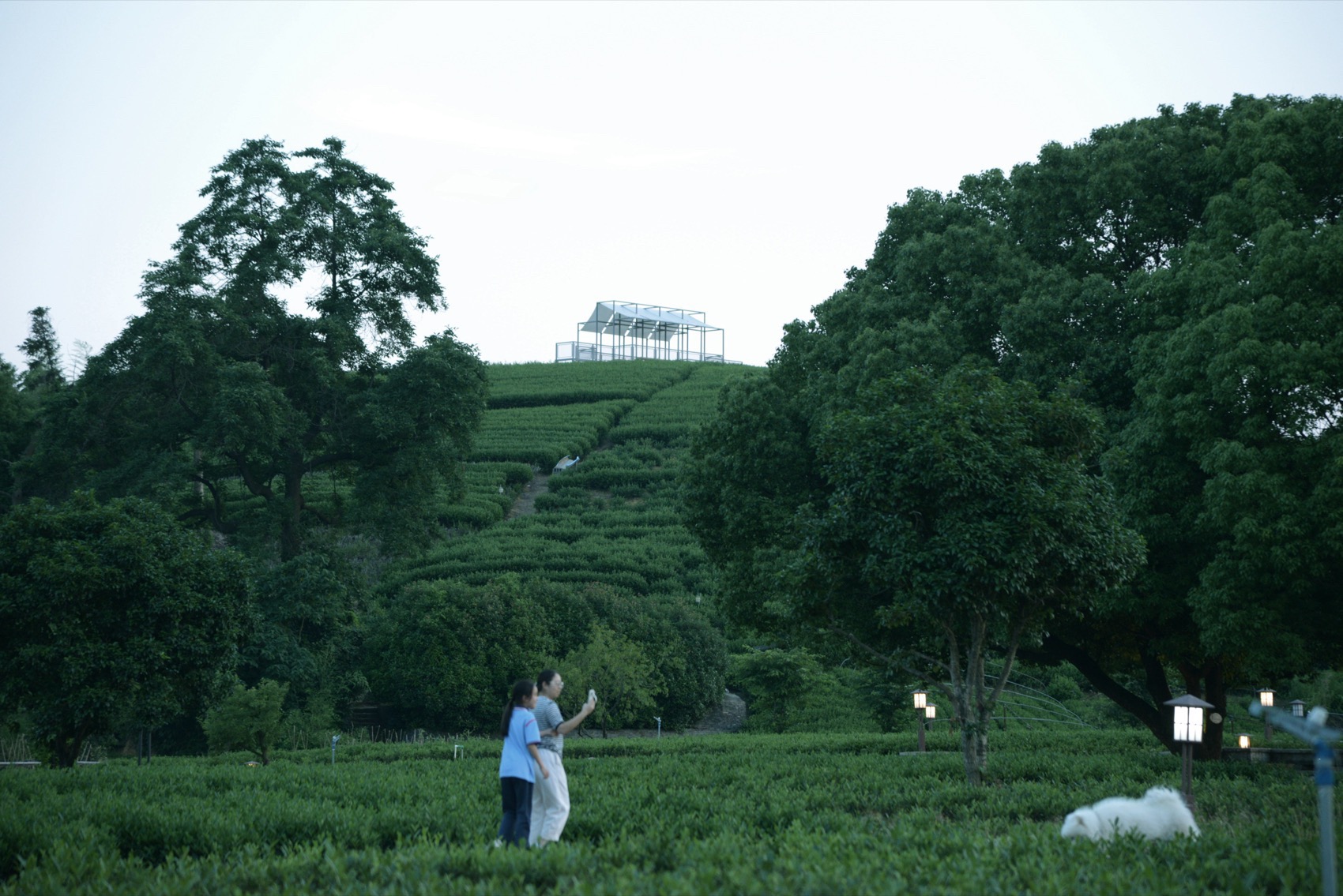 长埭村艺术乡建系列茶山浮亭丨中国杭州丨由牧建筑-62