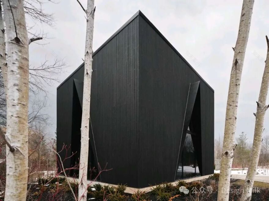 FELINE(滑雪小屋)-3