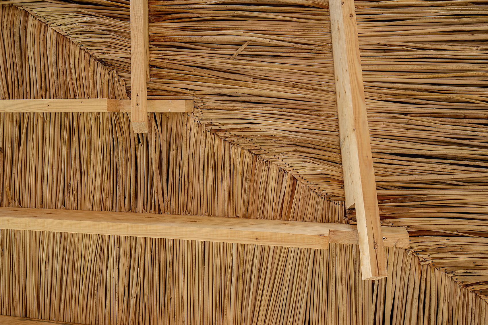 飞瓦住宅，厄瓜多尔 / Daniel Moreno Flores-96