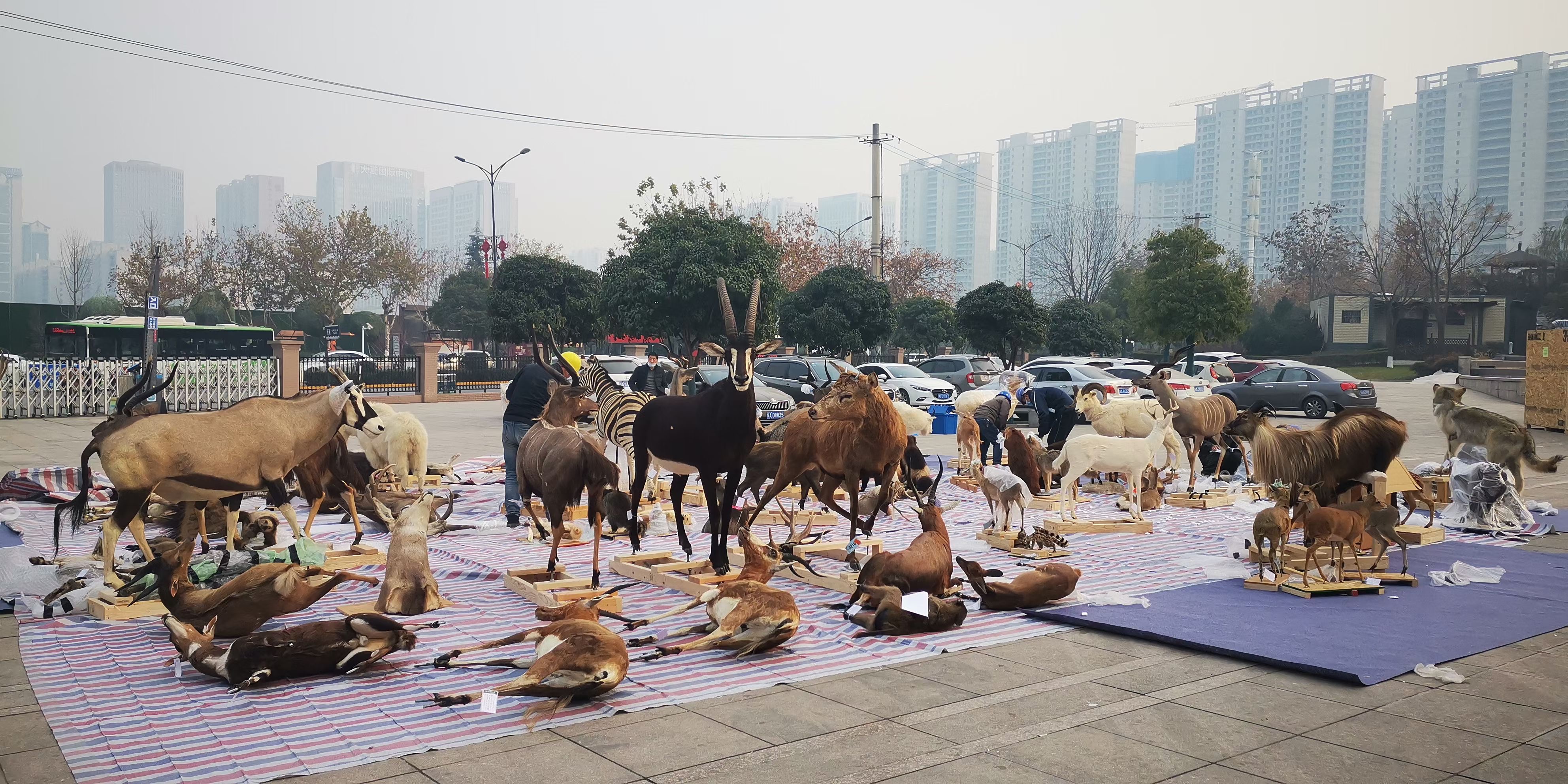 陕西自然馆-18