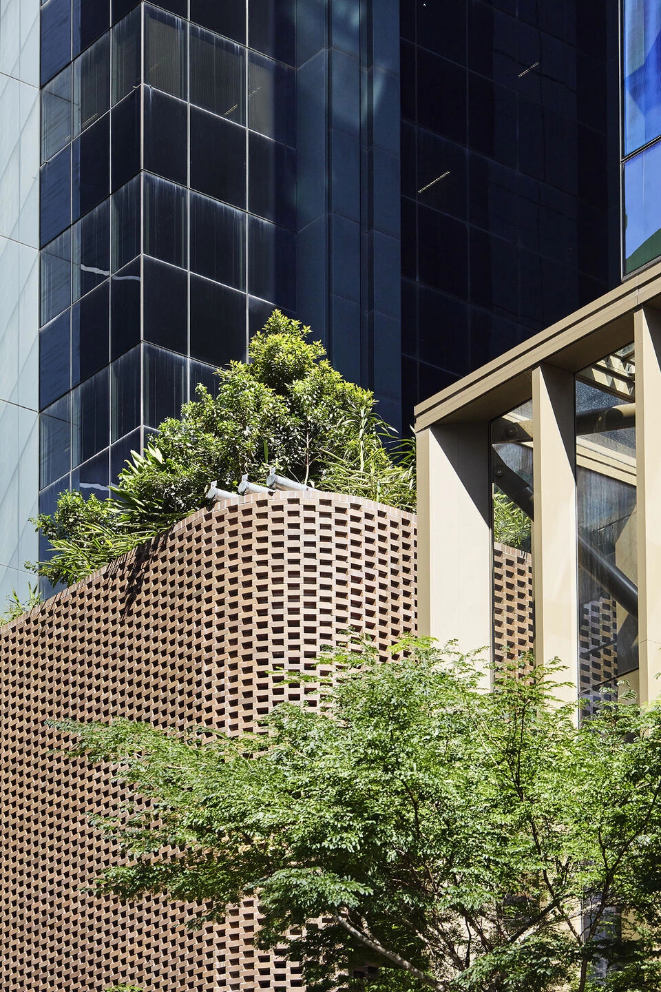 80 Ann Street 景观设计丨澳大利亚布里斯班丨ASPECT Studios-20