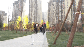 老街坊们，回家啦！-57