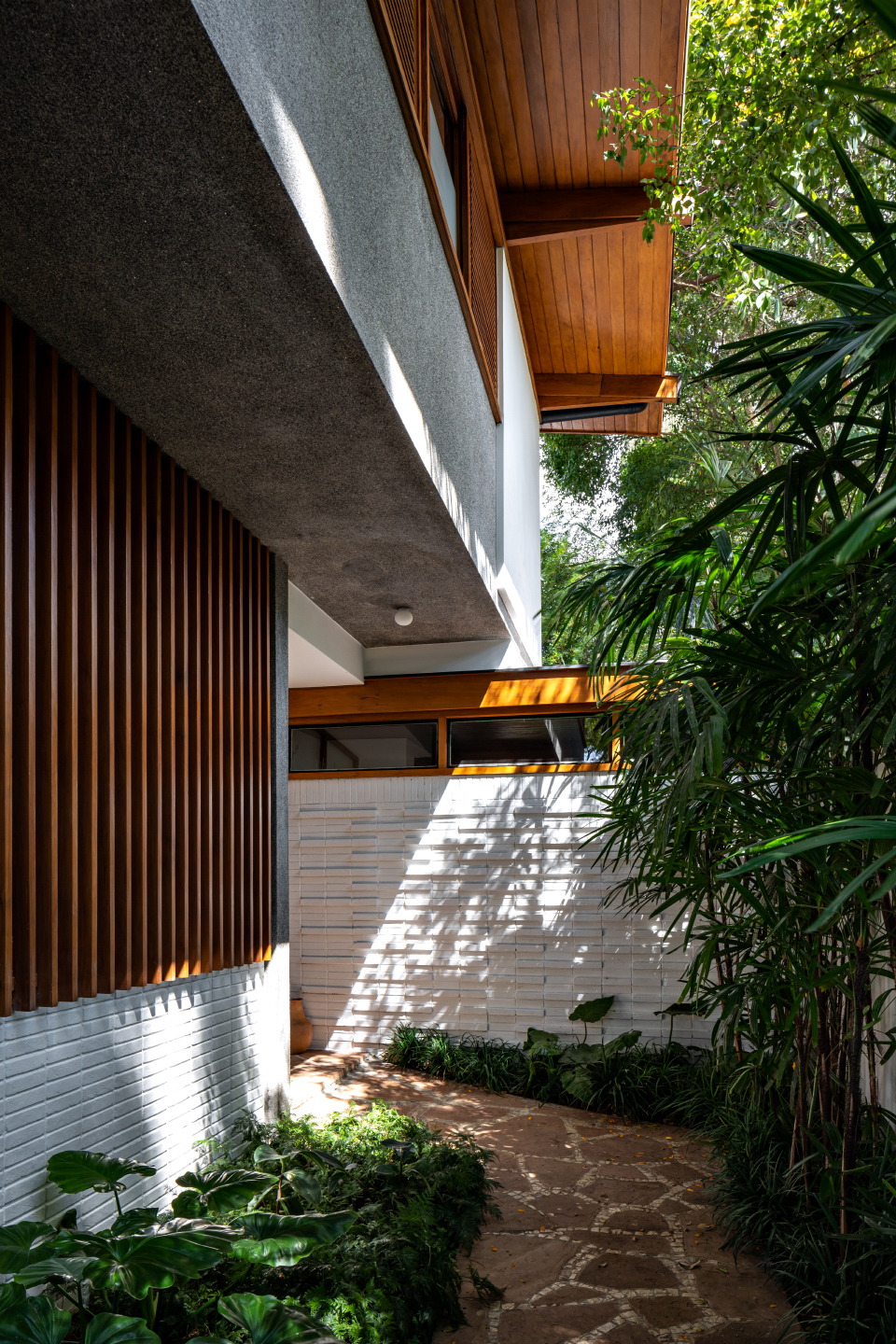 Thompson Hess住宅，巴西 / Felipe Hess-8