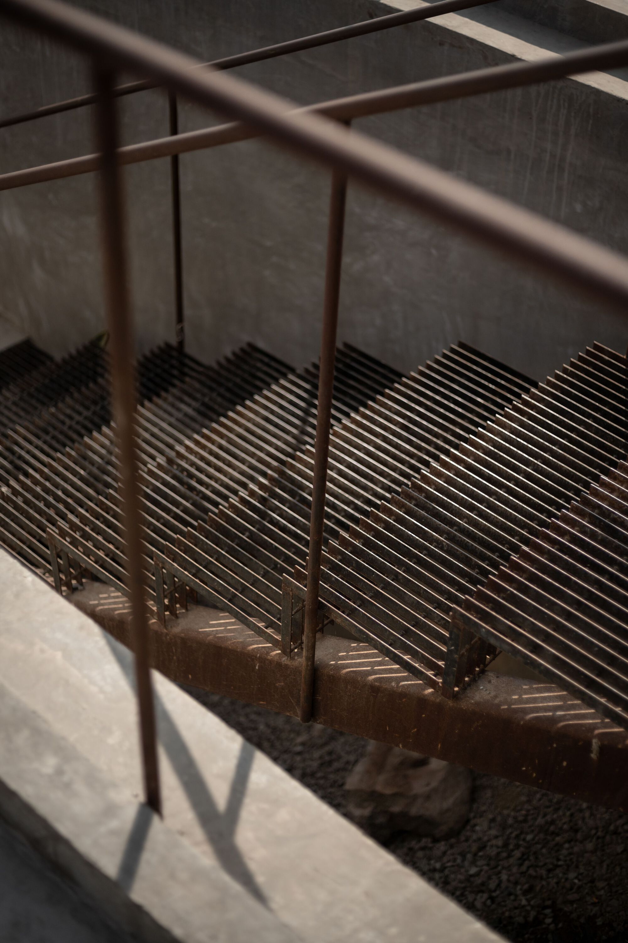 玛莎之家丨墨西哥丨Arquitectura nativa-35