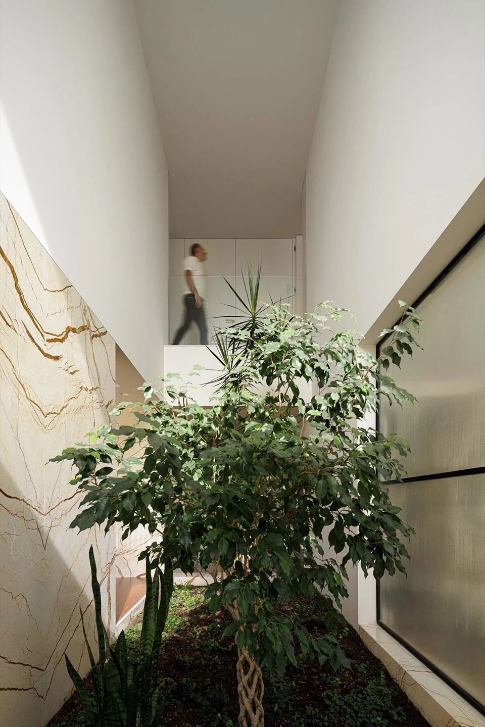 以自然采光与户外空间为核心   极简白色住宅  Arquitetura501-47