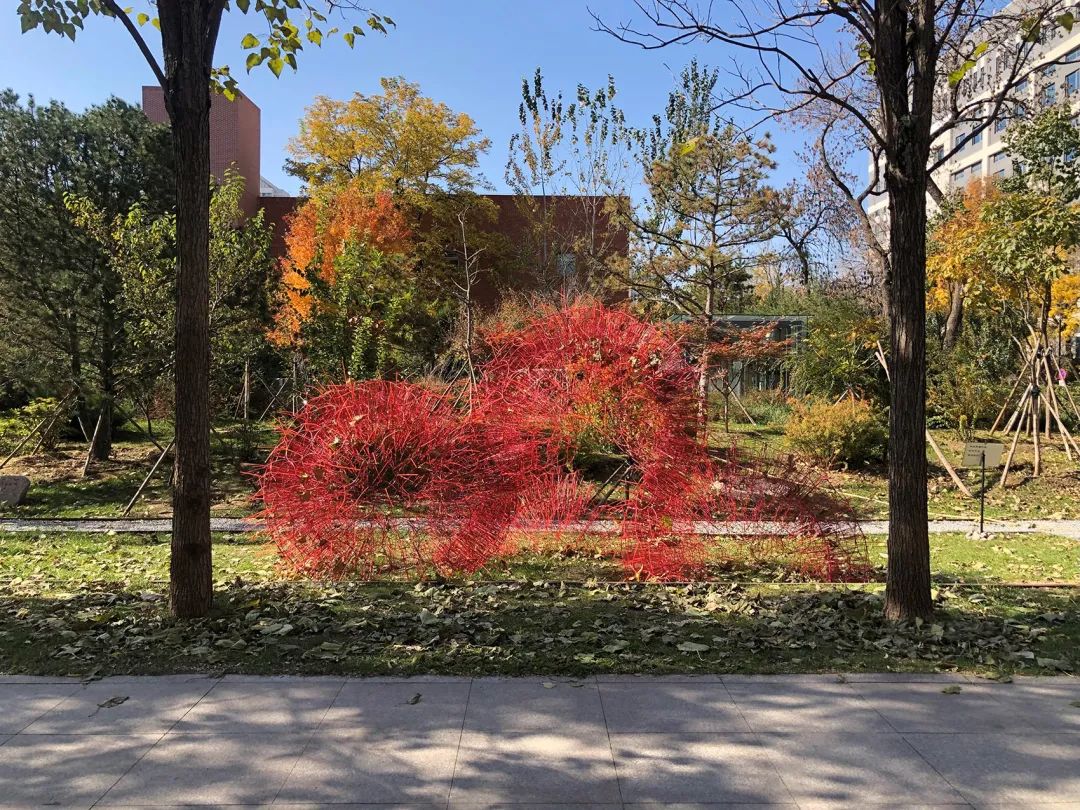 丹岩丨中国北京丨北京林业大学-85