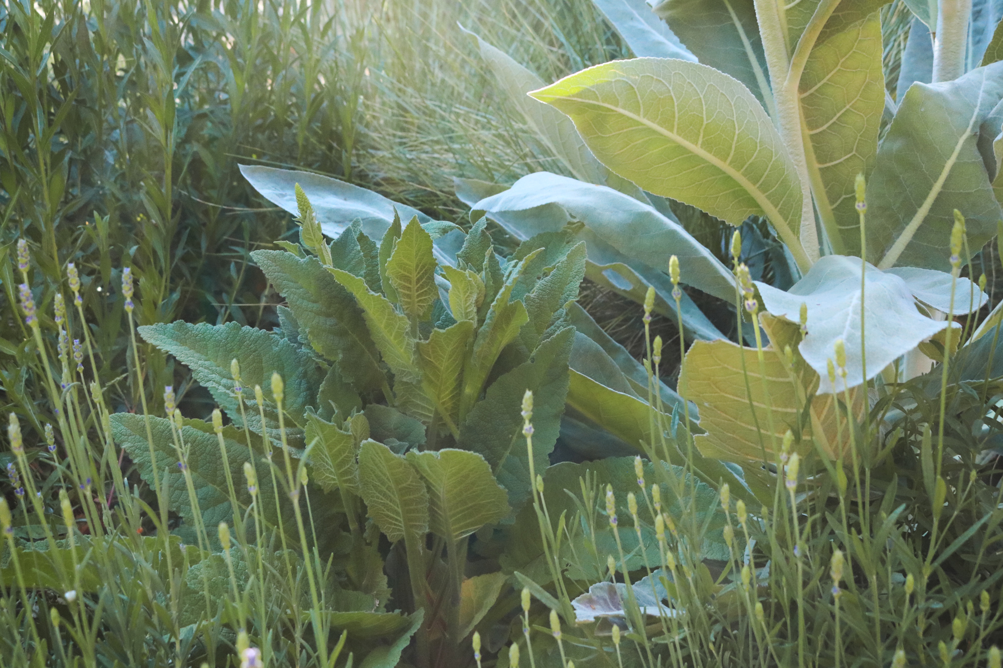 身边风景 | Soft Studio-113