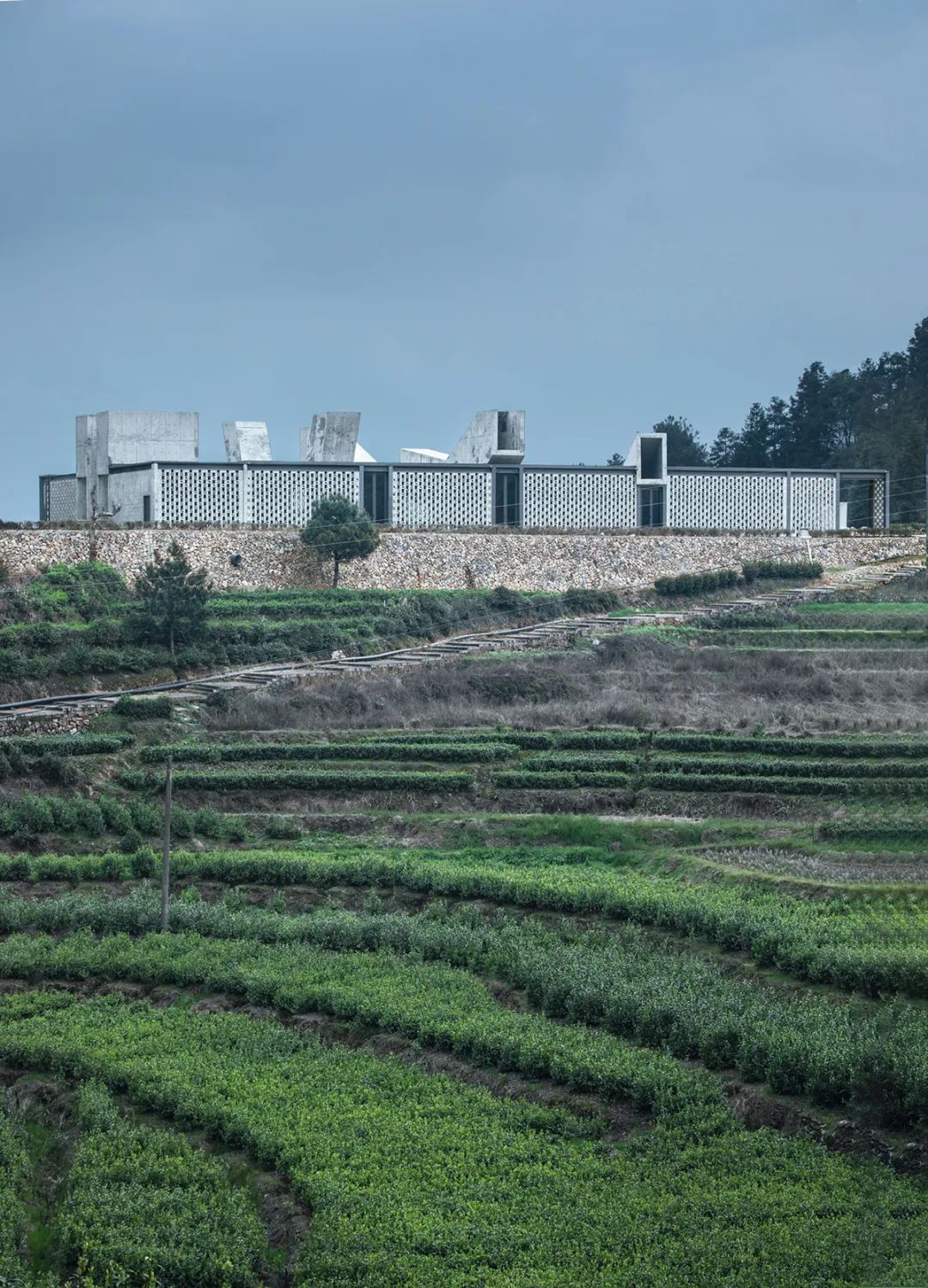 惠明茶工坊丨中国丽水丨DnA建筑事务所-74