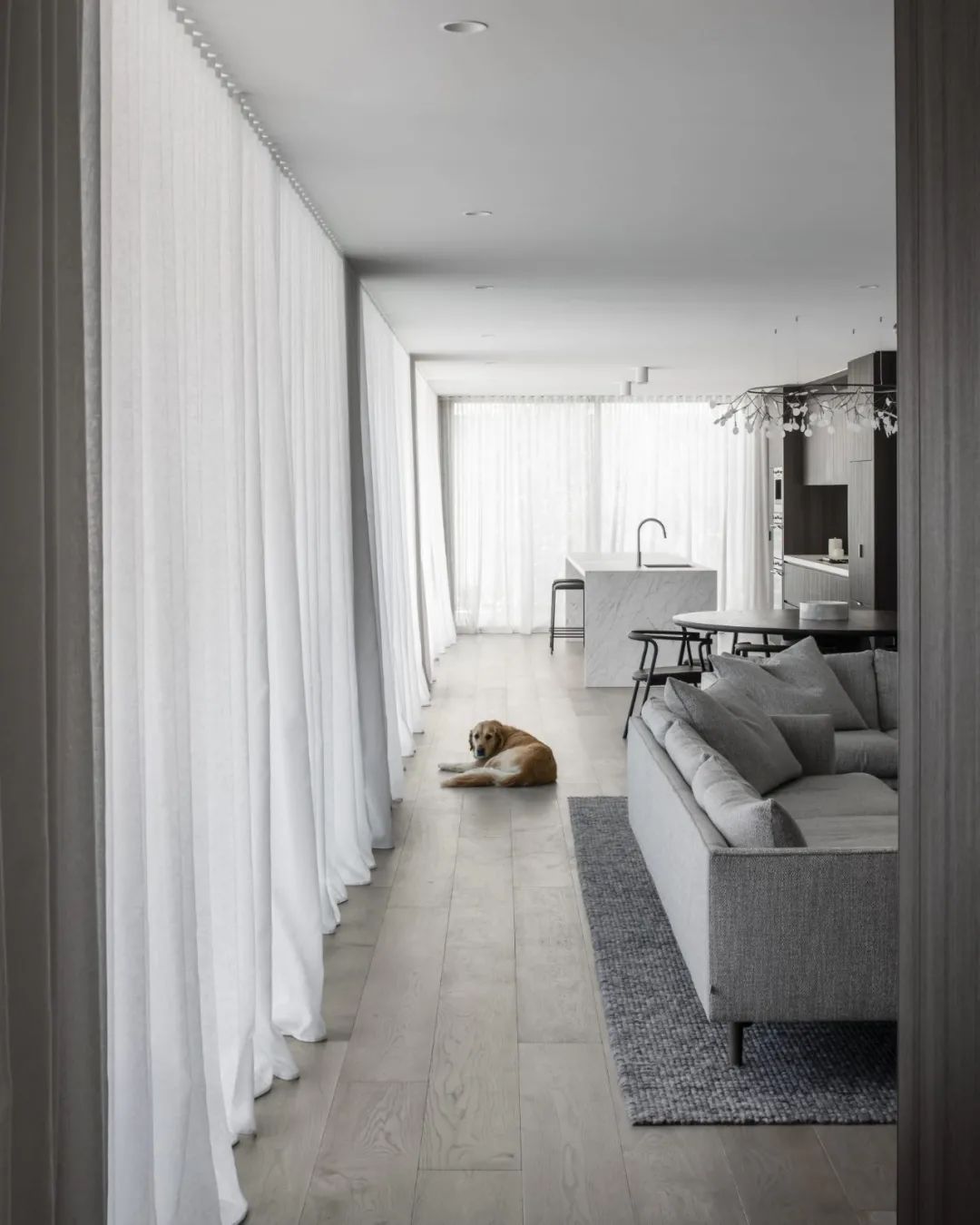 巴旺黑兹住宅丨澳大利亚墨尔本丨Adam Kane 建筑事务所-35