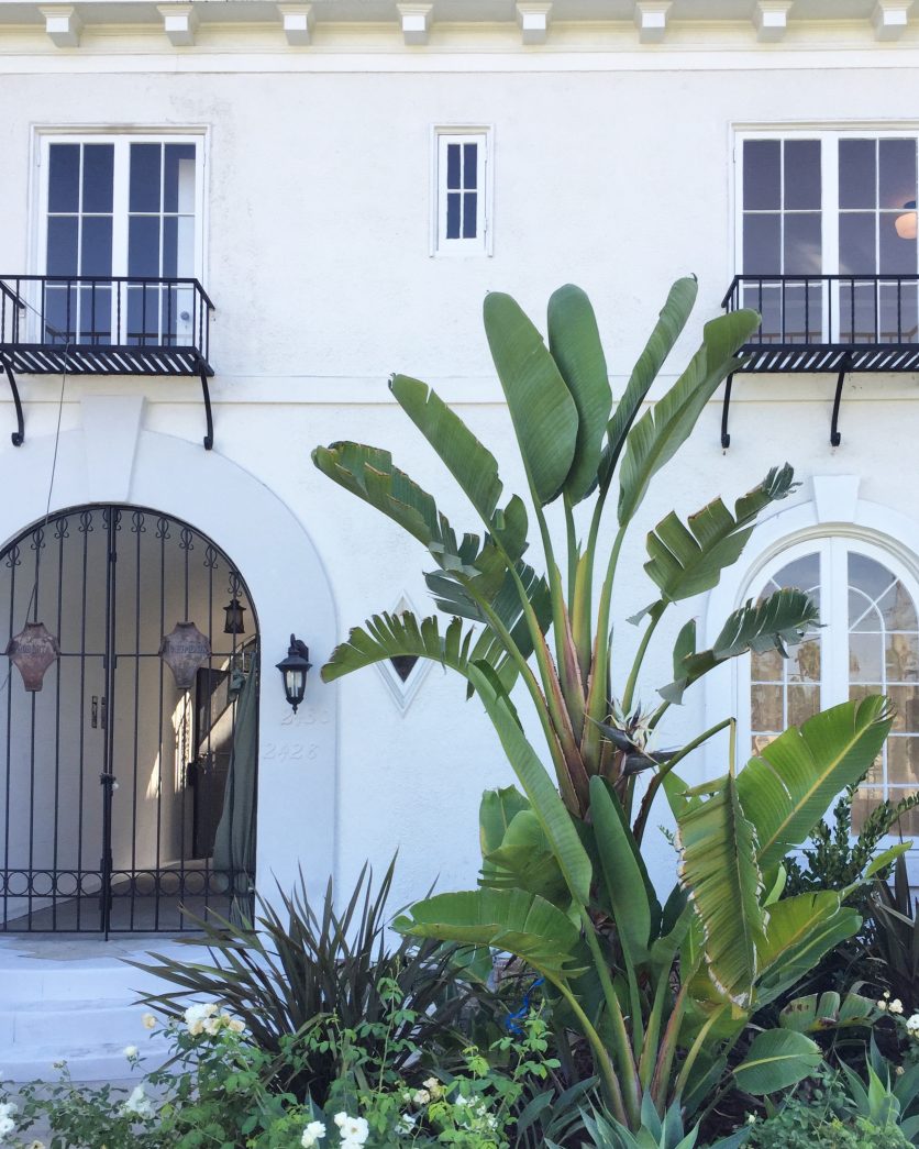 Murphy一家的新家丨美国洛杉矶-32