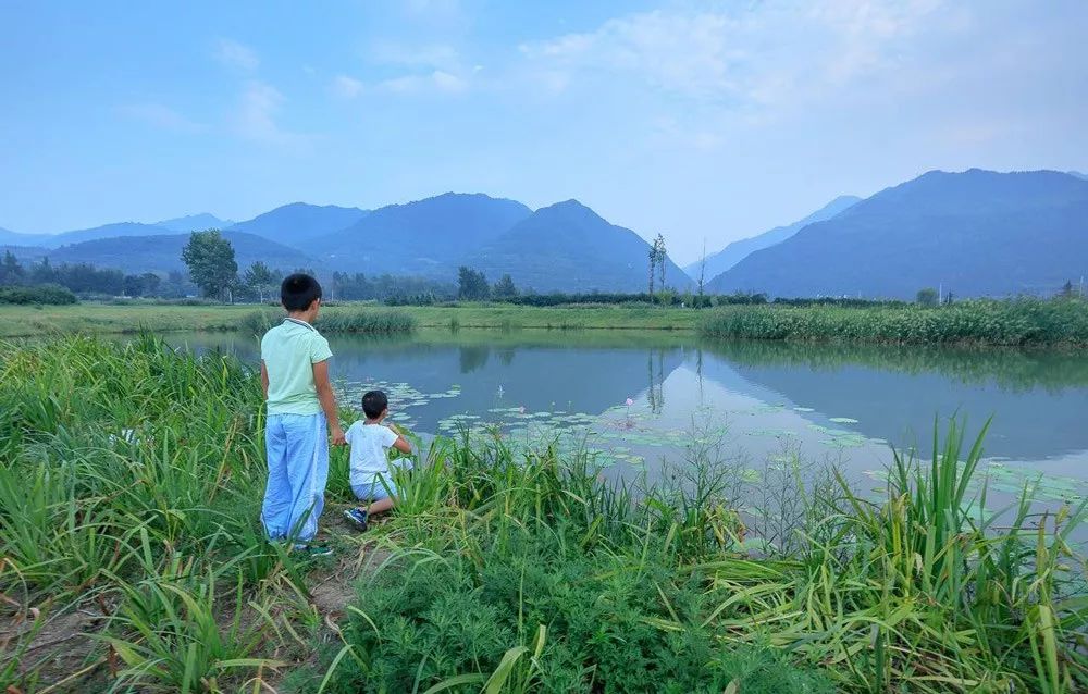 秦岭国家植物园田峪河湿地公园-112