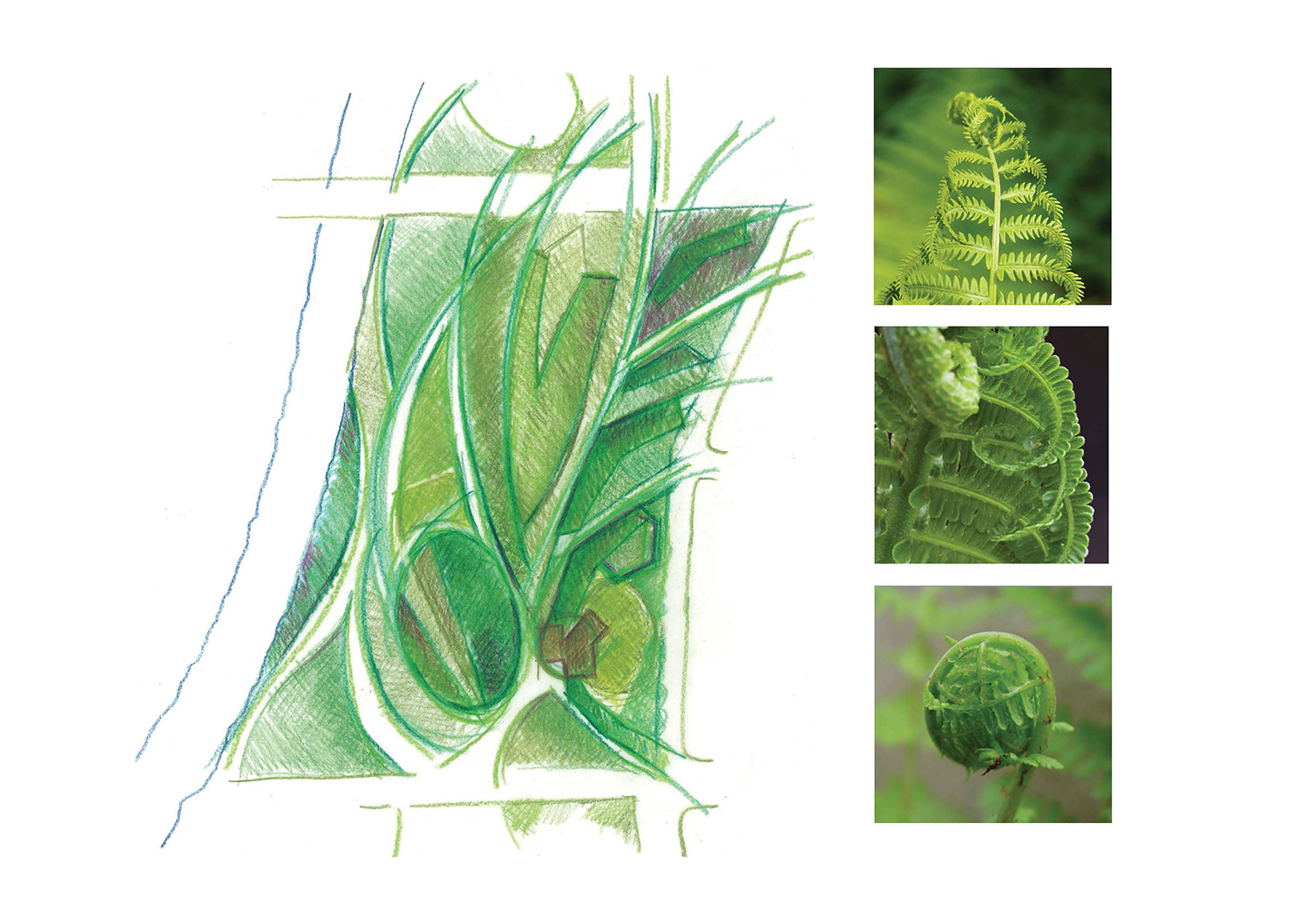 伦敦奥运遗址再生之作 · 儿童乐园的生态与创意设计-12